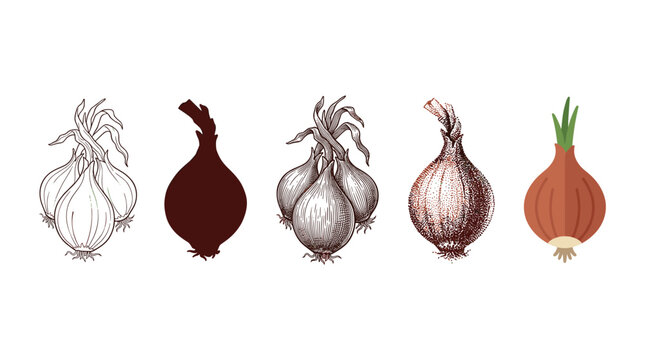 Five different artistic styles of onions are presented in a row, showcasing various illustration techniques from line art to flat design.