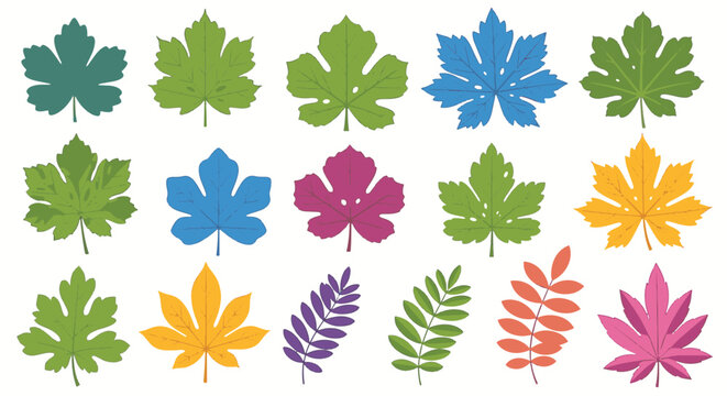 Collection of fifteen stylized vector leaves including maple, fig, and compound leaf varieties in vibrant shades of green, blue, yellow, orange, and purple isolated on white.