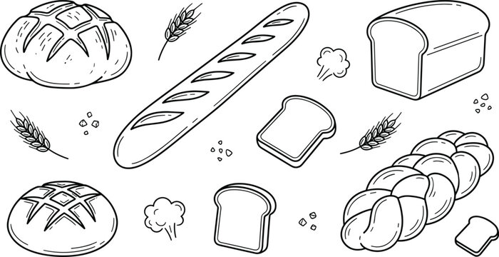 Bakery Bread Vector Line Art Set Featuring French Baguette Sourdough Boule Challah Toast Slices and Wheat Stalk Doodles
