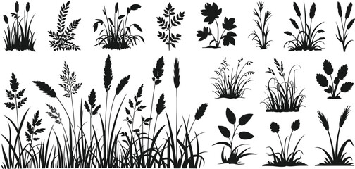 Ground cover elements featuring grass line, CAD landscaping, bush, shrub, herb, and natural silhouette vector designs. ©  