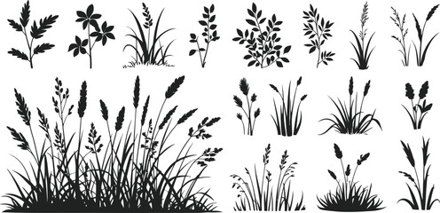 Ground cover elements featuring grass line, CAD landscaping, bush, shrub, herb, and natural silhouette vector designs. ©  