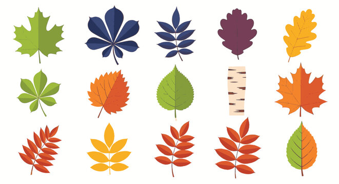 Comprehensive collection of flat vector autumn leaves featuring various species like maple, oak, chestnut, and rowan in seasonal colors isolated on white background for design.