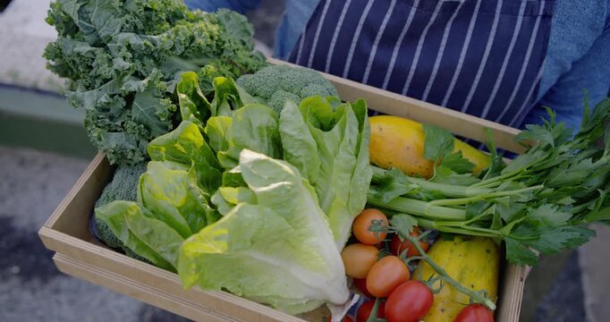 Camera pulling back, Asian man wearing apron holding crate of produce showing harvest in greenhouse