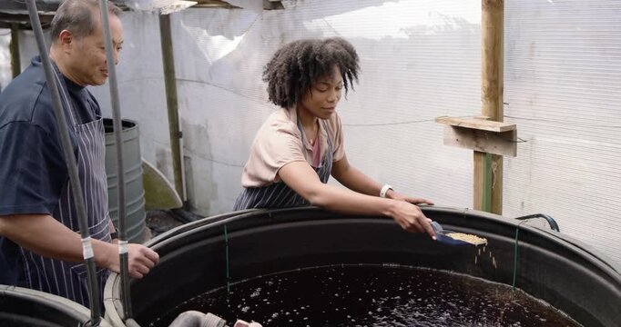 Diverse workers Asian man gesturing, African woman scooping feed with scoop into tank in greenhouse