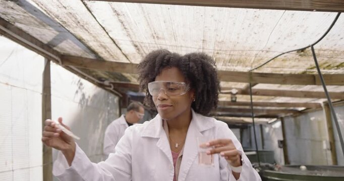 African American woman in lab coat sampling with pipette at hatchery for monitoring, checking water