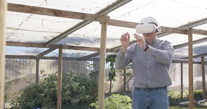 Mid adult woman with VR headset tapping and reaching VR controls in greenhouse checking plants