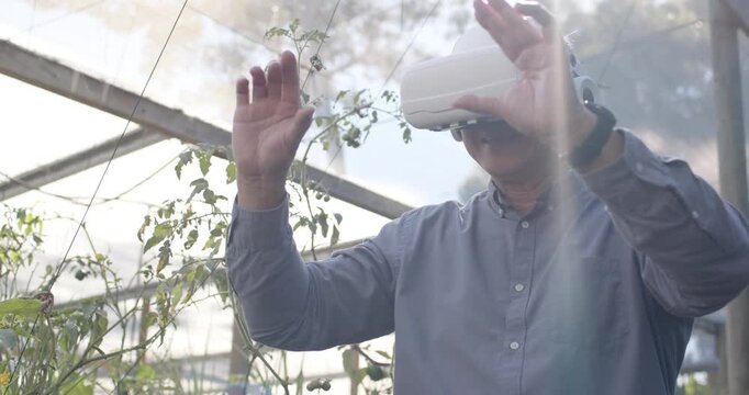 Woman donning white VR headset in shirt, pinching, scanning vines in greenhouse with smartwatch