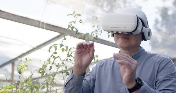 Mid-adult African woman in VR headset interacting with VR app, driving gestures by greenhouse vines