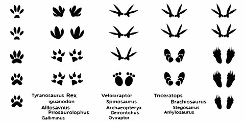 Dinosaur Footprint Silhouettes On White Background Paleontology Study Collection © Ajay