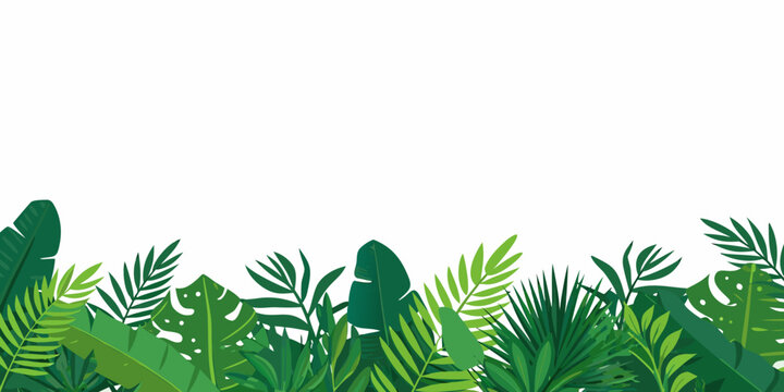 Tropical Foliage Border A Vector Illustration With White Background