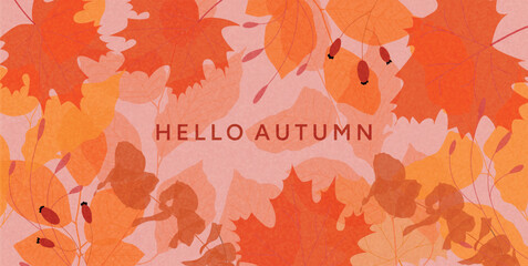 Autumn Background with Maple, Birch Leaves, Branches, Berries and Hello Autumn text. Flat Vector illustration for seasonal greeting card, banner, poster, invitation, social media. © roze ultra