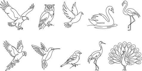 Set of continuous one line bird illustrations eagle owl dove swan flamingo parrot hummingbird peacock vectorSet of continuous one line bird illustrations eagle  © Mst Sumi