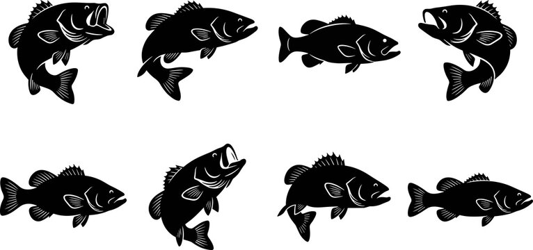 Black bass fish silhouette collection showing dynamic swimming poses, detailed fins, elements vector art