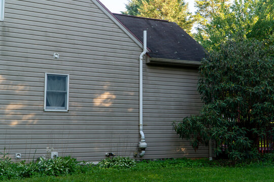 Side view of a suburban house with neutral beige vinyl siding, a single window, white plumbing pipe, dark shingle roof, vibrant green lawn, and lush overgrown bushes and trees.