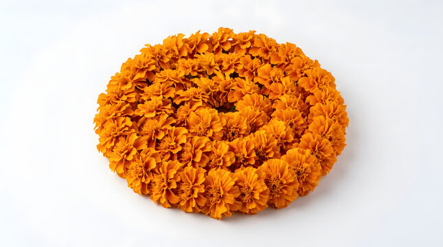 Coiled fresh orange marigold flower garland isolated on a clean white background