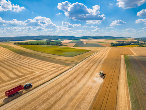 Combine harvester working on golden wheat field in Trbousany