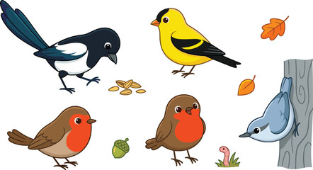 Cute Backyard Bird Vector Element Set Featuring Cartoon Magpie Goldfinch Robins and Nuthatch with Seeds Leaves and Worm for Nature and Wildlife Designs © Miss