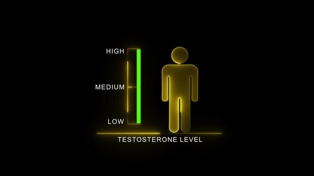 Testosterone Level Indicator with Human Silhouette. Glowing neon animation and black background .good level on high measure scale. Instrument scale with silhouette of a neon man.