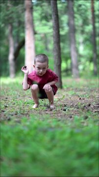 Young boy in red shirt collects pinecones in forest and throws them aside. He squats holding a cone and gazes curiously at the camera.