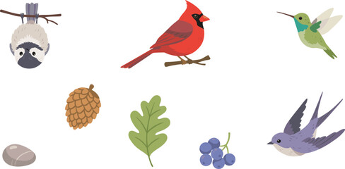 North American Wild Birds and Forest Flora Vector Set with Cardinal Chickadee Hummingbird Swallow Pinecone Oak Leaf and Berries for Nature Designs © Miss