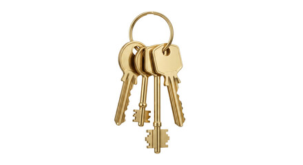 Bunch of golden keys on a ring, symbolizing access and opportunity © Sapphire