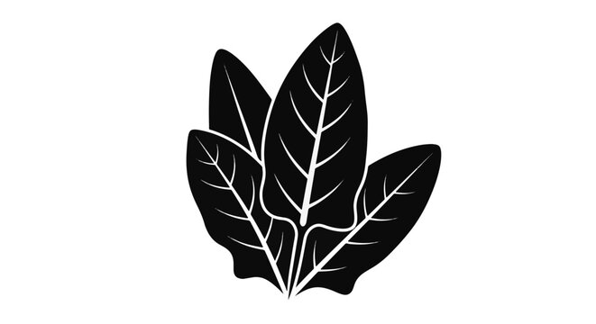 Solid black silhouette of sorrel leaves isolated on a white background. Minimalist vector illustration of edible leafy greens with detailed vein patterns for botanical design.
