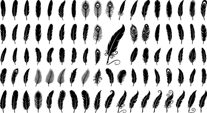 Large collection of black feather silhouettes peacock quills and vintage writing ink pen icons isolated on white background vector graphic elements.