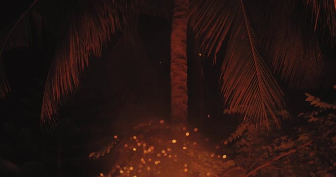 Fire Sparks Rise Beneath Palm Tree In Mysterious Jungle Night