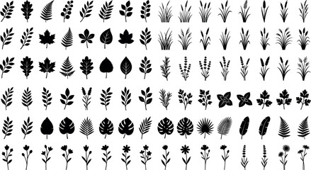 Large bundle of botanical plant silhouettes including tropical monstera leaves garden herbs field grass and wild flowers isolated on white background. © AFSANA AKTER