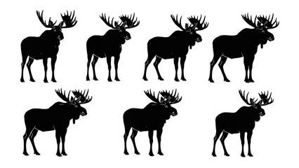 Fototapeta premium Moose illustrations in various standing poses