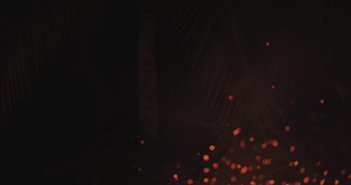 Orange Sparks Drift Through Jungle Darkness In Fiery Night Scene