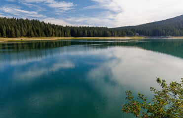 Fototapeta premium Calm lake with forest reflection under blue sky