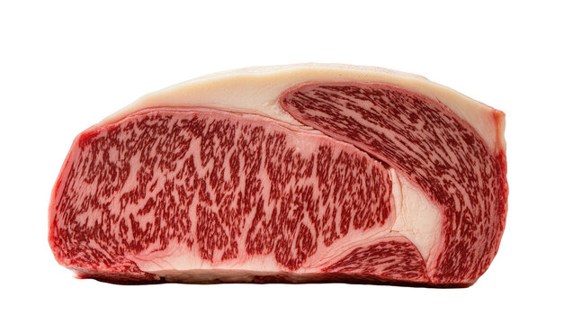 Marbled raw wagyu beef steak with white fat cap, isolated on transparent background