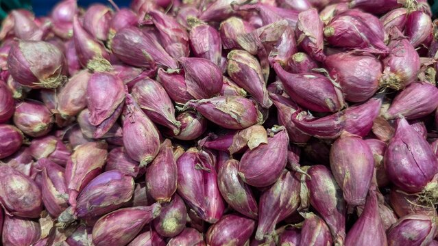 Bright purple torpedo shallots tightly arranged, completely filling the frame. Photography highlighting the vibrant color, glossy papery skin, and elongated shape of the bulbs. 