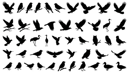 Fototapeta premium Fifty black bird silhouettes in varied flight and perch poses, showcasing species diversity, wing motion, and elegant avian form balance.