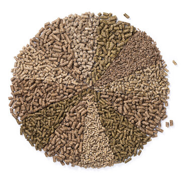 Top view of various types of pelleted animal feed arranged in circular sectors isolated on white background