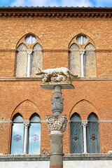 Obraz premium siena, italien - kapitolinische wölfin 