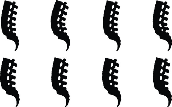 Human lumbar spine and sacrum bone anatomy icons set vector illustration isolated on white background