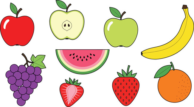 A collection of illustrated fruits is displayed on a white background.
