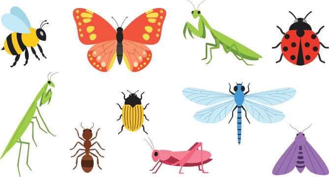 A collection of colorful insect illustrations are displayed on a white background.