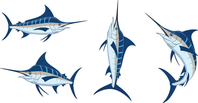 Four stylized illustrations of blue and white striped sailfish are displayed.