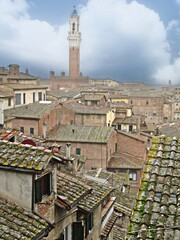 Obraz premium siena, italien - dachlandschaft mit campanile