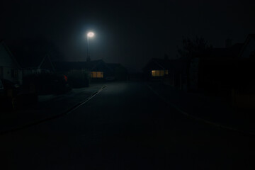 Gloomy blue foggy night on liminal road lit with streetlight © FinerleePhotos