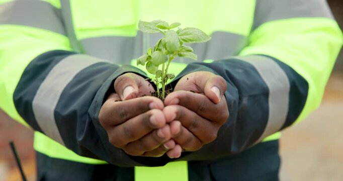 Green, construction and hands with plant, outdoor or sustainable real estate or property development. Natural, growth and person with leaves, civil engineering and eco friendly building opportunity