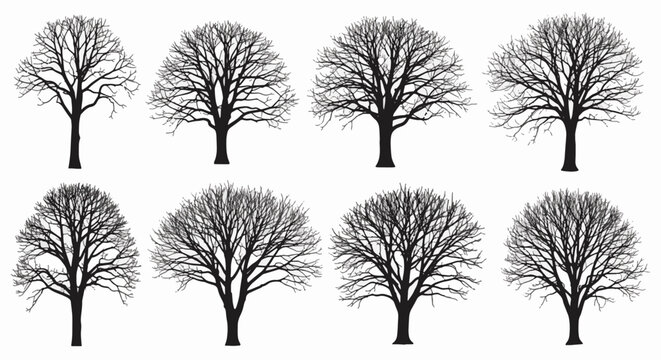 Collection of eight distinct black leafless tree silhouettes isolated on white background, featuring intricate bare branch patterns and trunk shapes for graphic design.