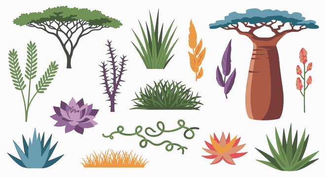 Vector collection of colorful African savanna flora isolated on white background featuring a baobab tree, flat-top acacia, various succulents, aloe, desert grasses, and tropical foliage.