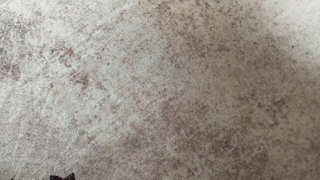 Mottled Gray and Brown Velvet Fabric Texture Background with Floral Corner Detail