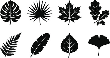 Leaf silhouette icons, tropical monstera, palm frond, maple leaf, oak acorn, fern leaf, banana leaf, birch, ginkgo vector design © Sumi
