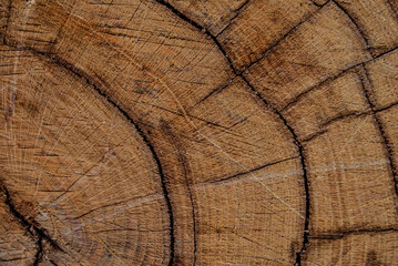 Fototapeta premium wood texture background