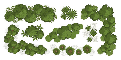Architecture plant. Top view trees, bushes. Landscape plan with group trees, shrubs, bushes. Various green garden and park floor map elements. Vector concept © Foxy Fox